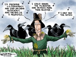 BIDEN VS JIM CROW by Kevin Siers