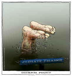 OSTRICH POLICY by Joep Bertrams
