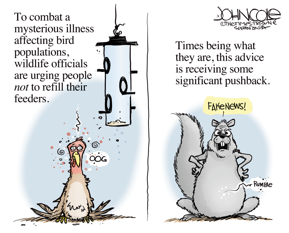 Bird feeder fake news