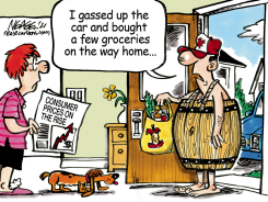 CONSUMER PRICES by Steve Nease