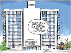 OUR UNSTABLE DEMOCRACY by Dave Whamond