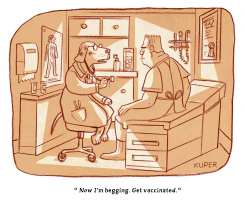 DOG DOCTOR BEGGING  by Peter Kuper