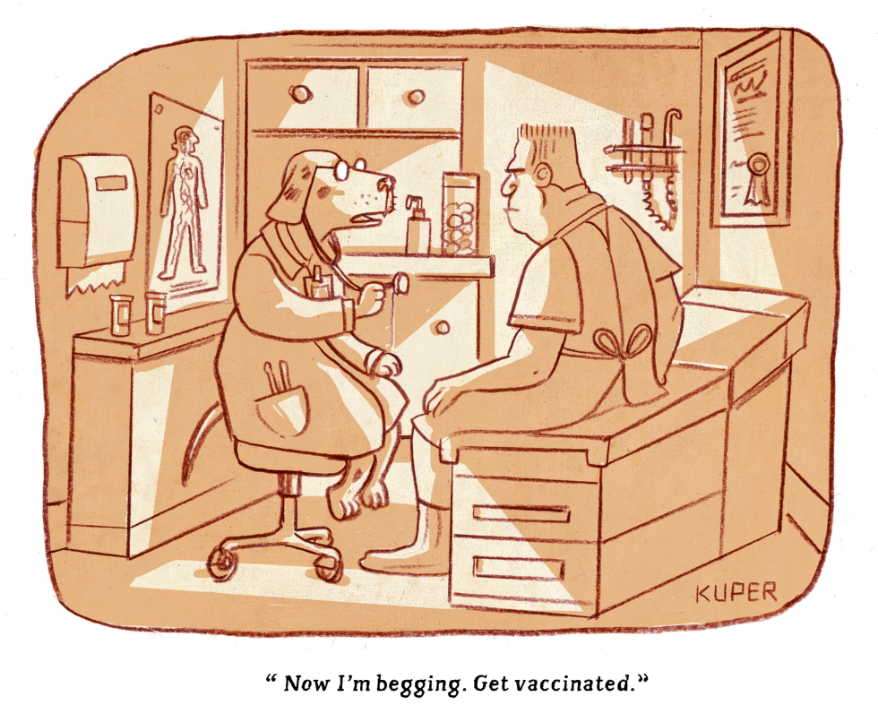 Dog Doctor in Exam Room Urges Patient Vaccination