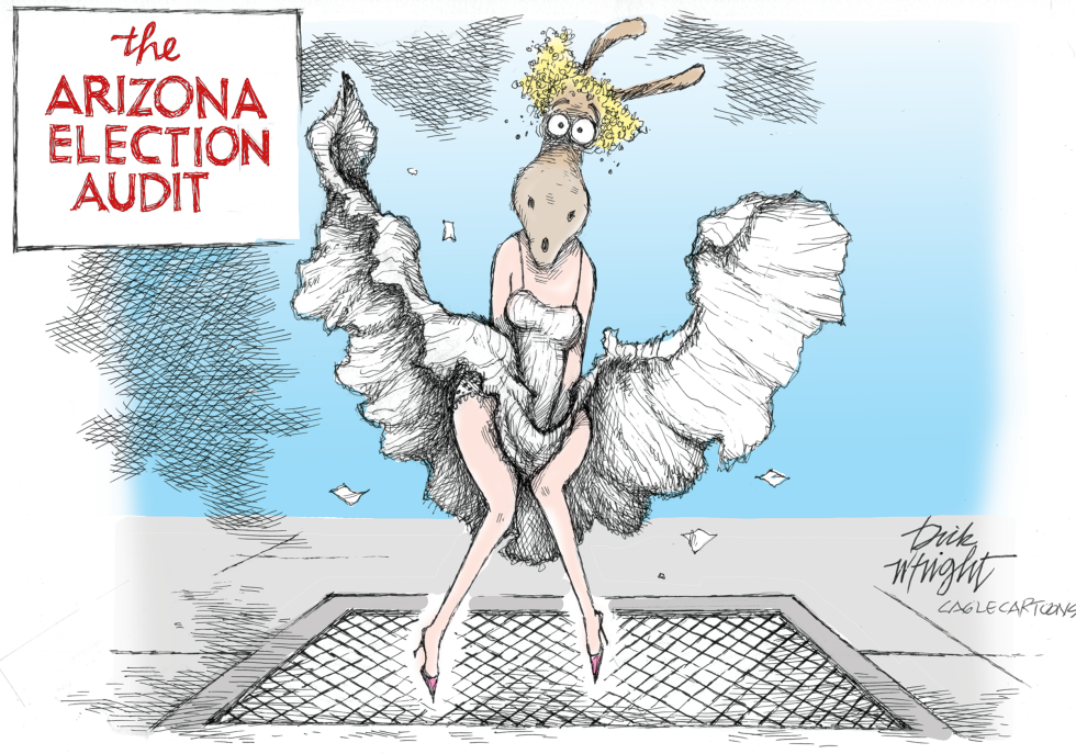 Arizona Audit