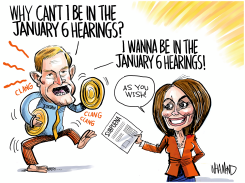 JIM JORDAN JANUARY 6 HEARING by Dave Whamond