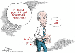 CRT CHEWS OUT BIDEN by Dick Wright