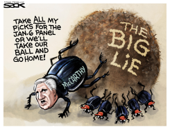 JANUARY 6 PANEL by Steve Sack