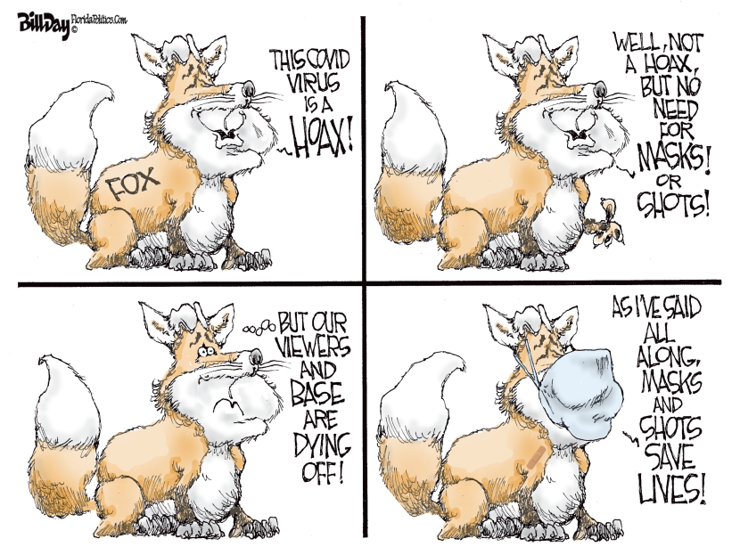 FOX FIBS