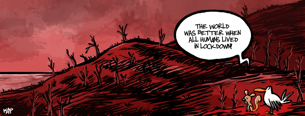 Burnt forest scene shows animals reflecting on lockdown era