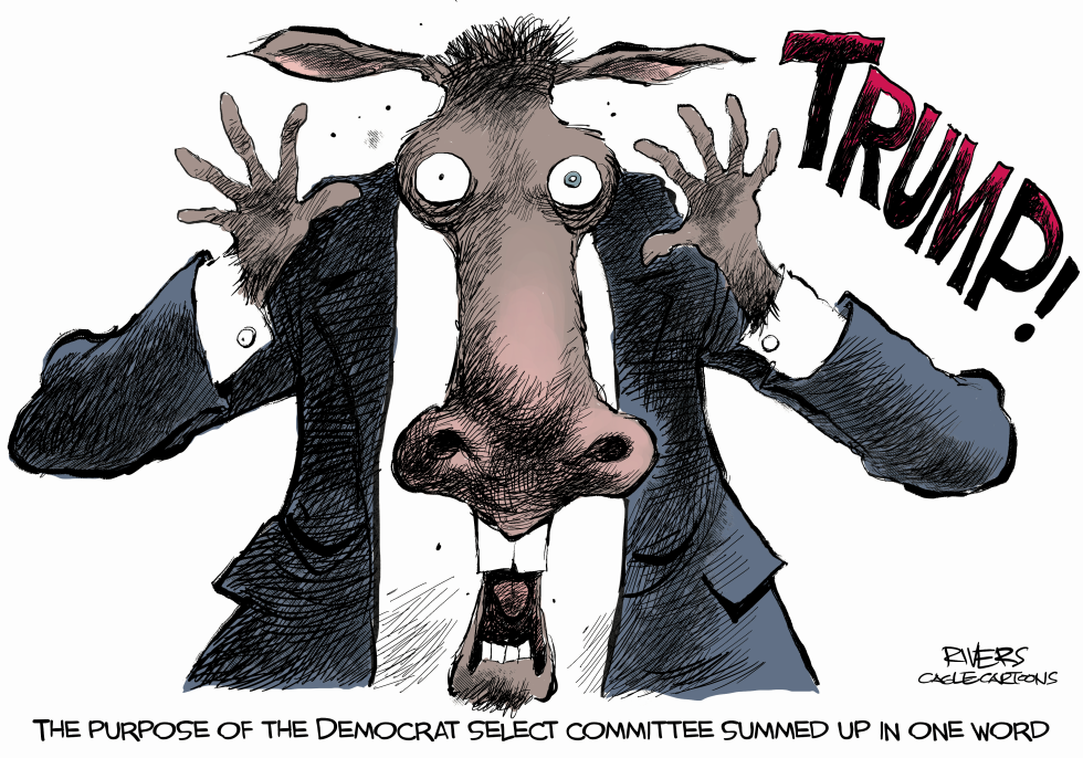Fear of TRUMP!!