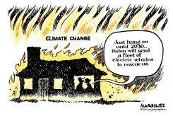 BIDEN AND ELECTRIC VEHICLES by Jimmy Margulies