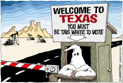 TEXAS VOTER RESTRICTIONS by Monte Wolverton