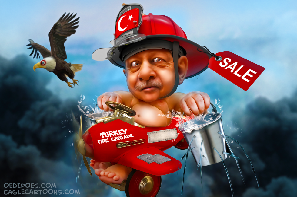 Forest Fires Erdogan