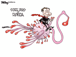 STATE BIRD OF FLORIDA by Bill Day