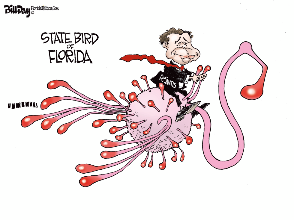 State Bird of Florida