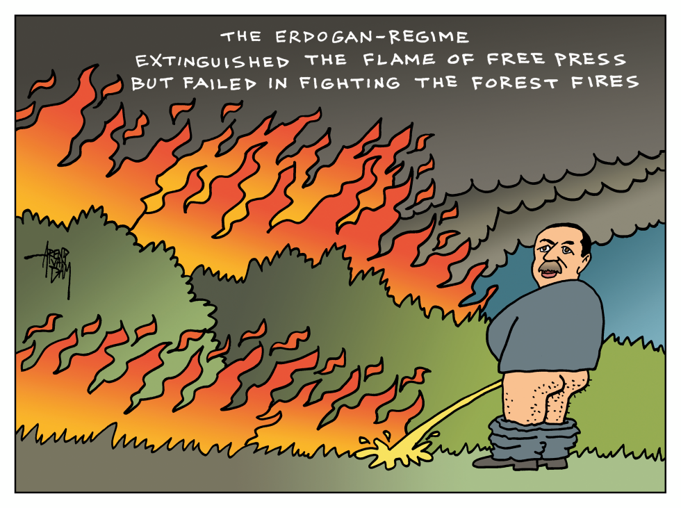 Forest Fires Turkey