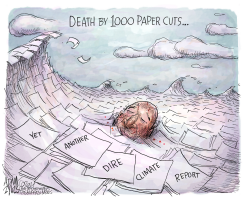 UN CLIMATE REPORT by Adam Zyglis