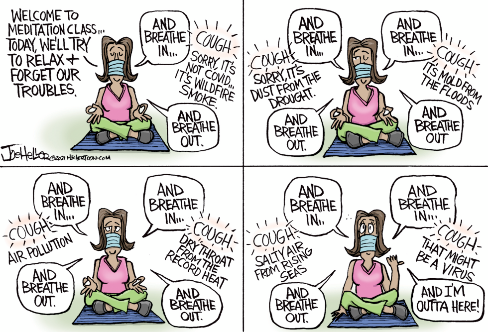 Meditation Nation