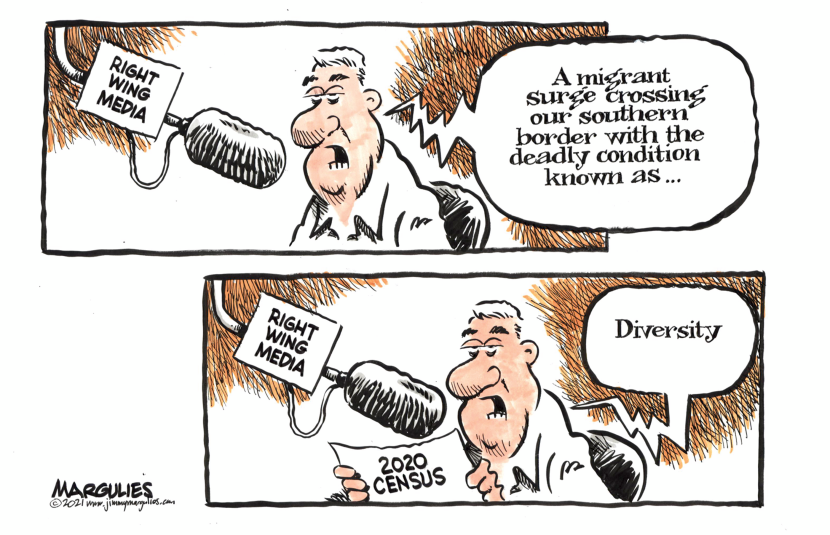 2020 Census and Diversity