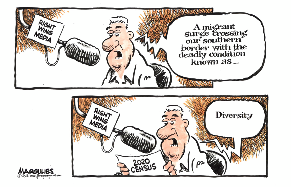 2020 Census and Diversity
