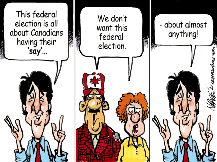 Have Your Say