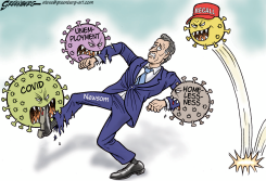 NEWSOM RECALL VIRUS by Steve Greenberg