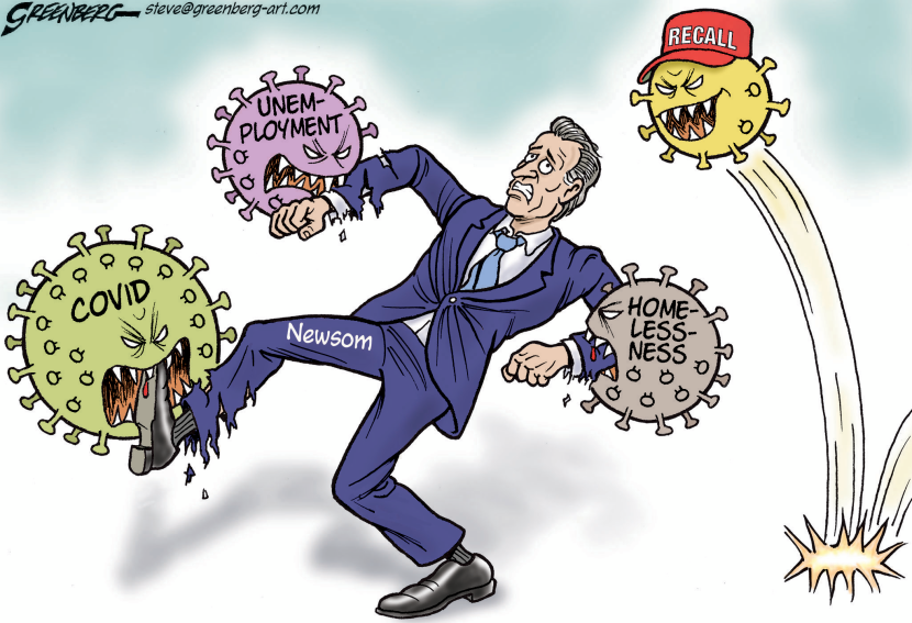 Newsom Recall Virus