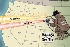 GUNSLINGER OF THE WEST by Steve Greenberg