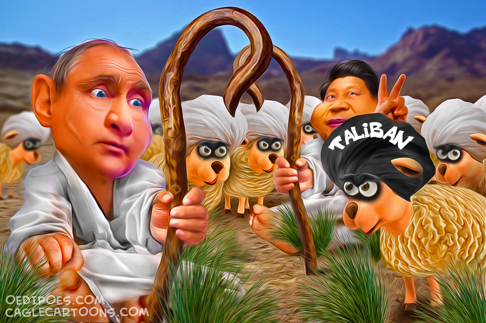 The Good Shepherds