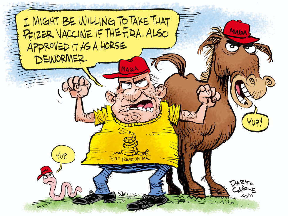 FDA Pfizer Approval and Horse Dewormer