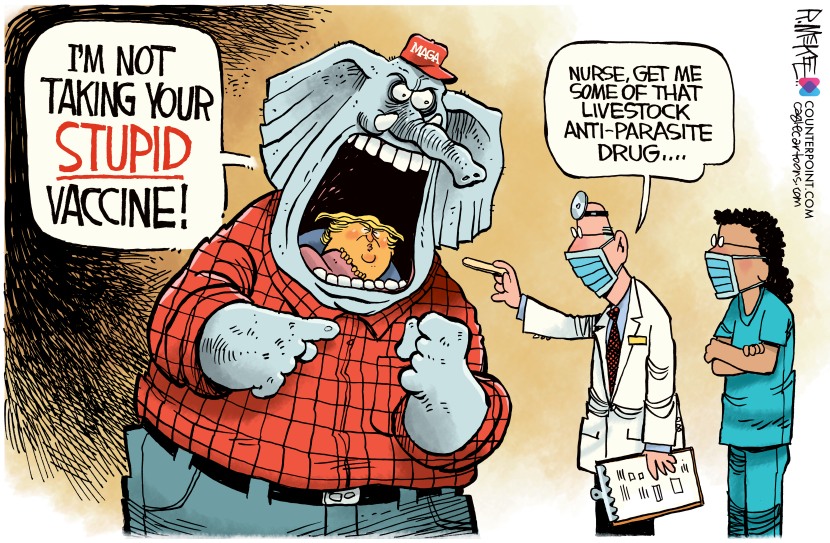 Anti parasite drug