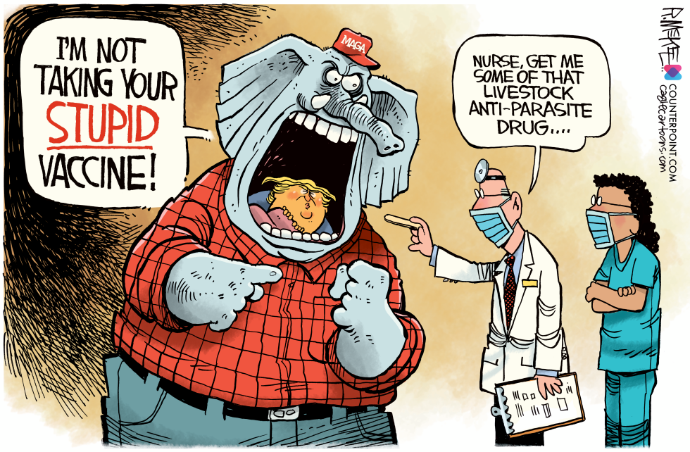 Anti parasite drug