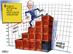 BIDEN'S MILK CRATE CHALLENGE by Dave Whamond