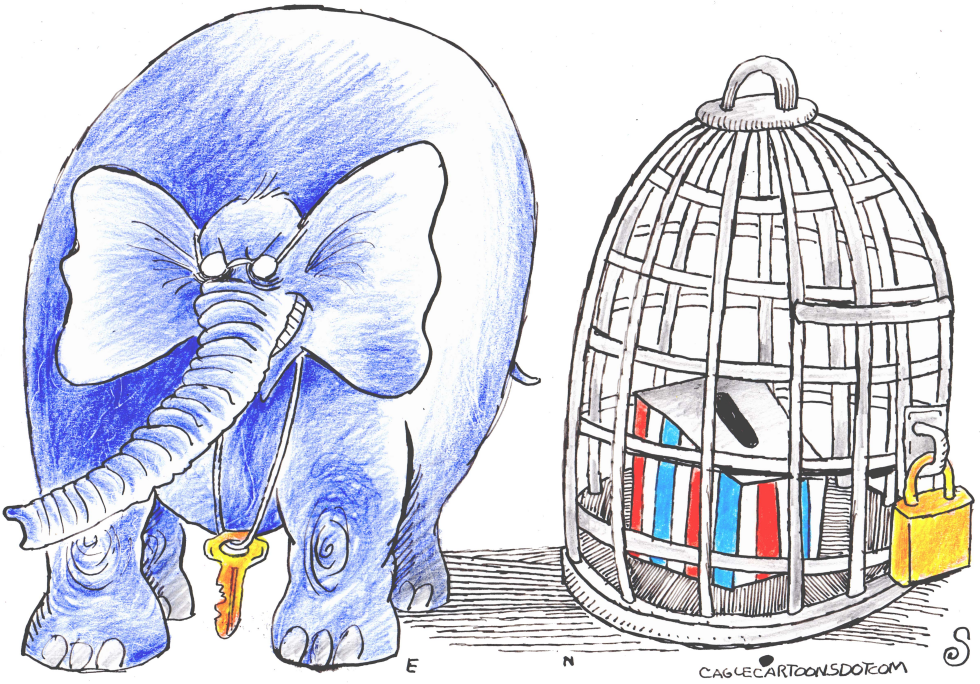 Voting Rights