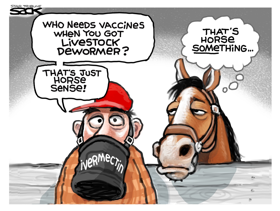 Horse Senseless