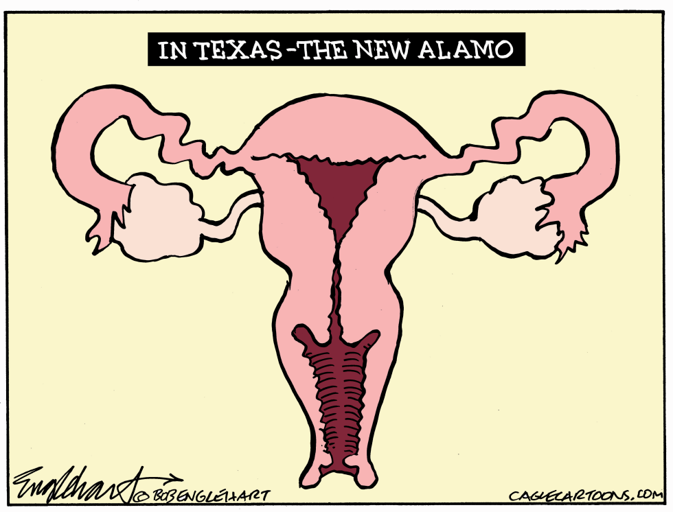Texas Abortion Law