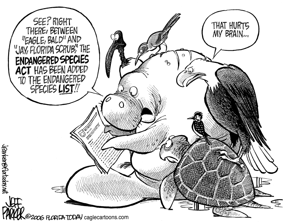Endangered Endangered Species Act