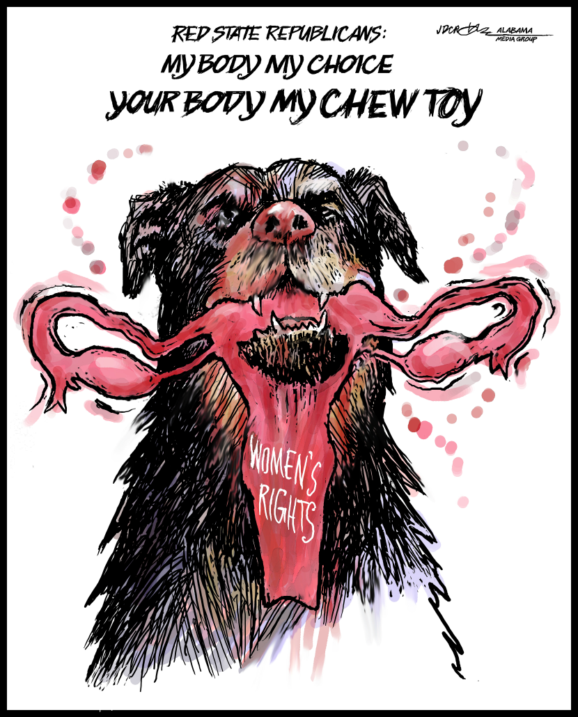 Red State Chew Toy