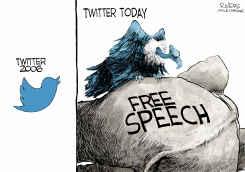 TWITTER EVOLUTION by Rivers