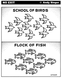 SCHOOL OF BIRDS FLOCK OF FISH by Andy Singer