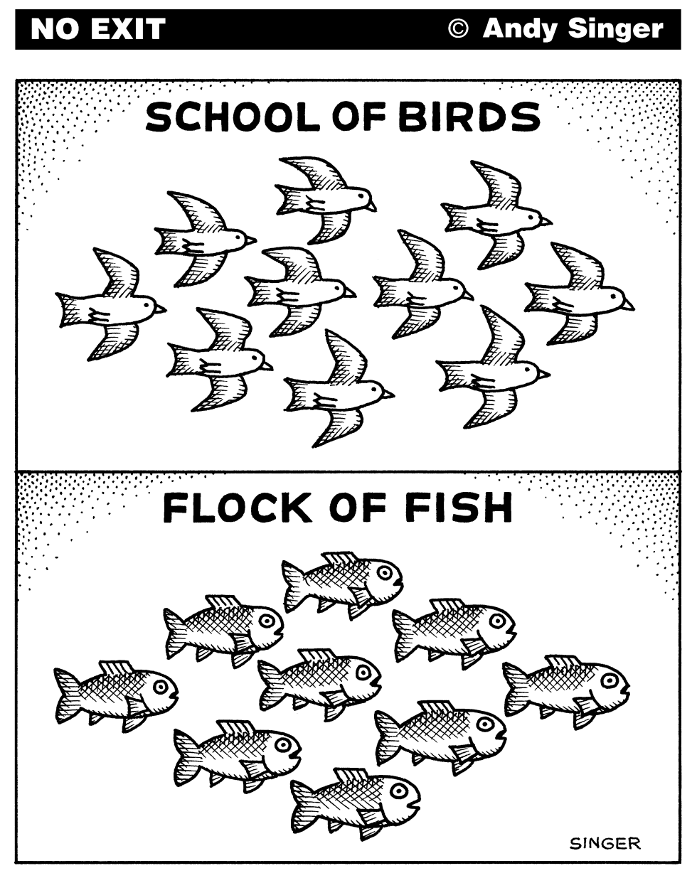 School of Birds Flock of Fish
