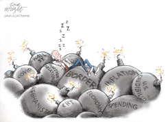 BIDEN NAPS by Dick Wright
