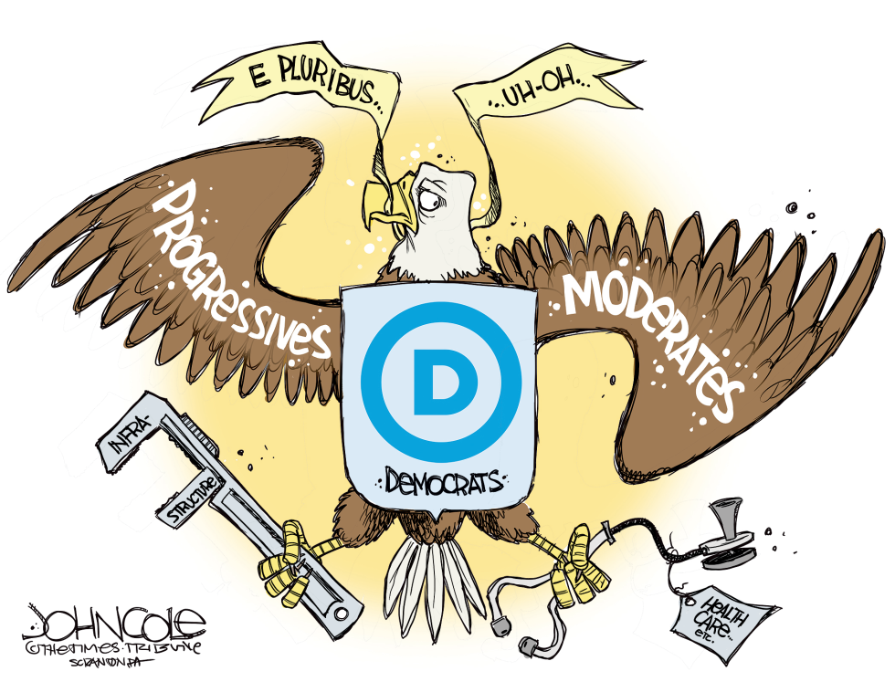 DEMOCRATS' TWO WINGS by John Cole