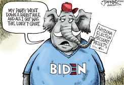 ARIZONA RECOUNT by Joe Heller