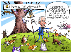 BIDEN HERDS THE DEMOCRATS by Dave Whamond