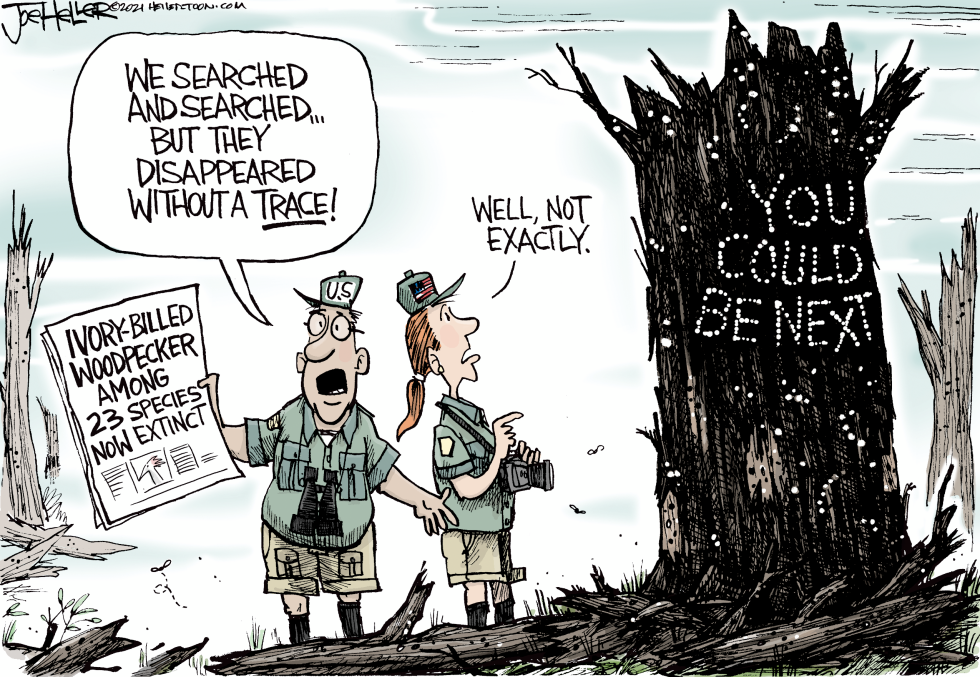 Extinction List