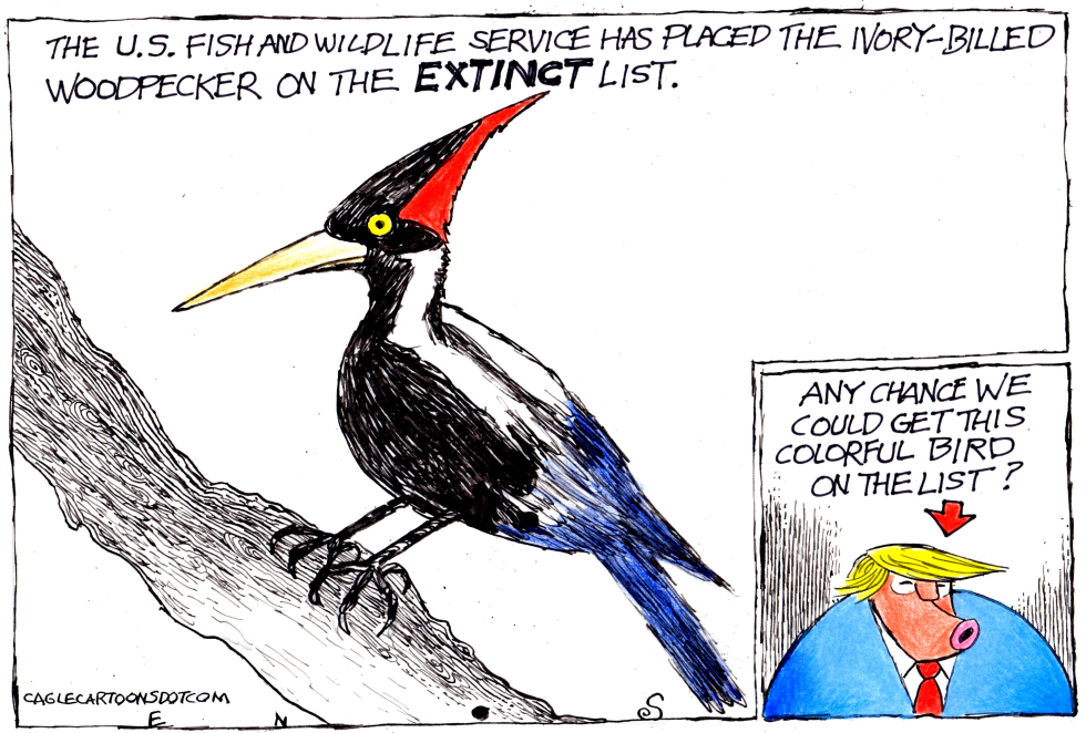 Birds Of A Feather