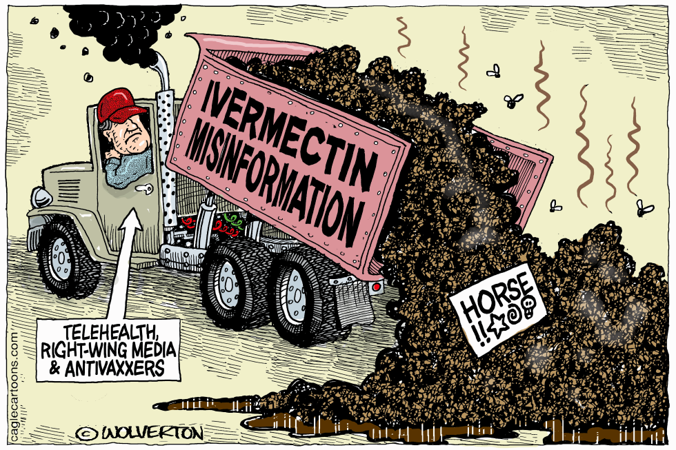 Ivermectin Misinformation