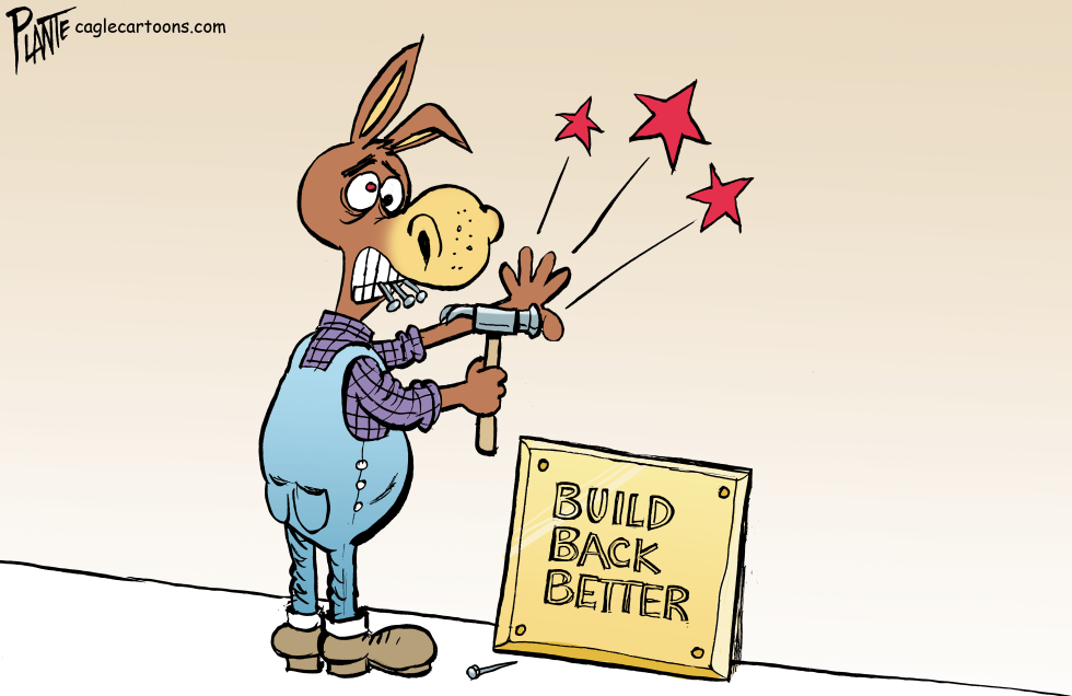 Build Back Better