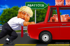 PETROL CRISIS AND PIG CULL UK by Bart van Leeuwen